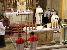 Uroczystość Niepokalanego Poczęcia NMP - patronalne święto Dzieci Maryi, 08.12.2024